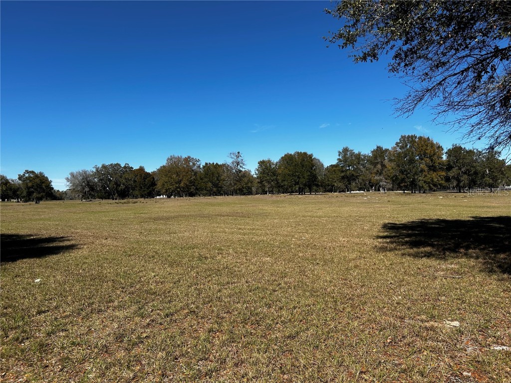 0000 NW 464b Morriston FL 32668 OM673020 image6