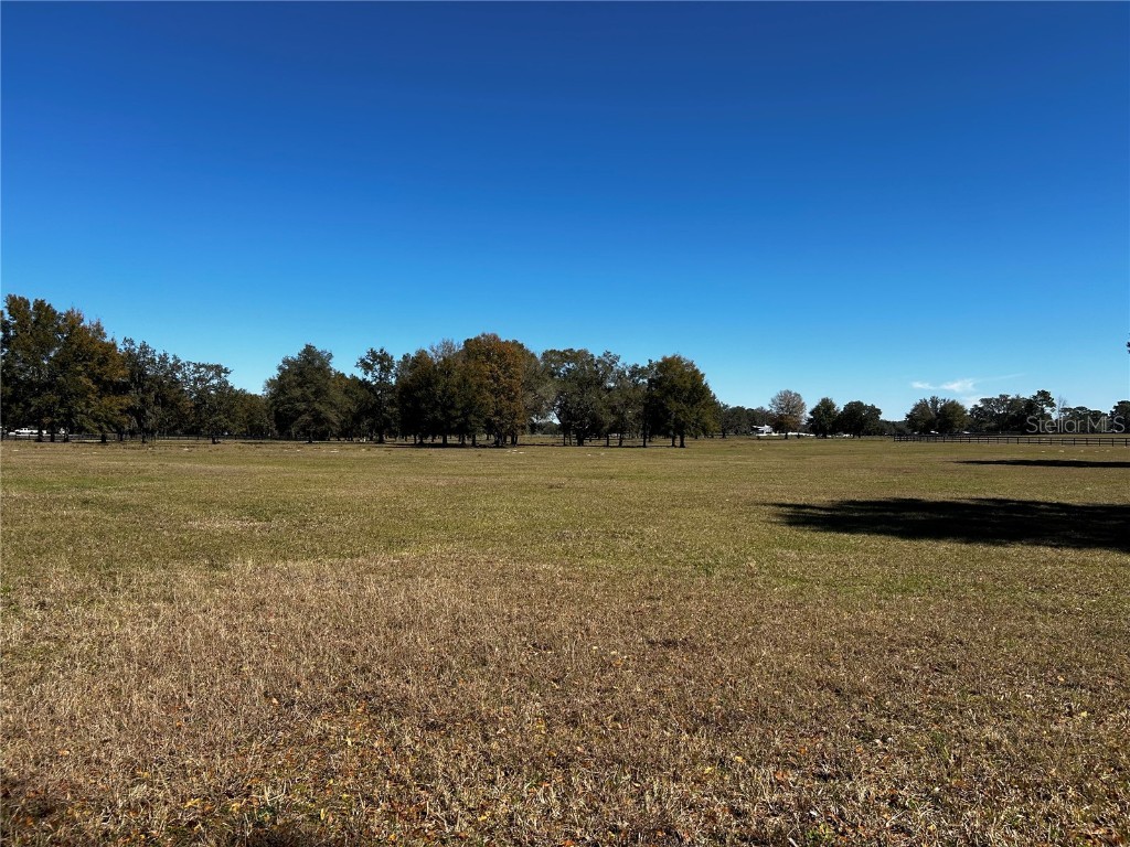 0000 NW 464b Morriston FL 32668 OM673020 image7