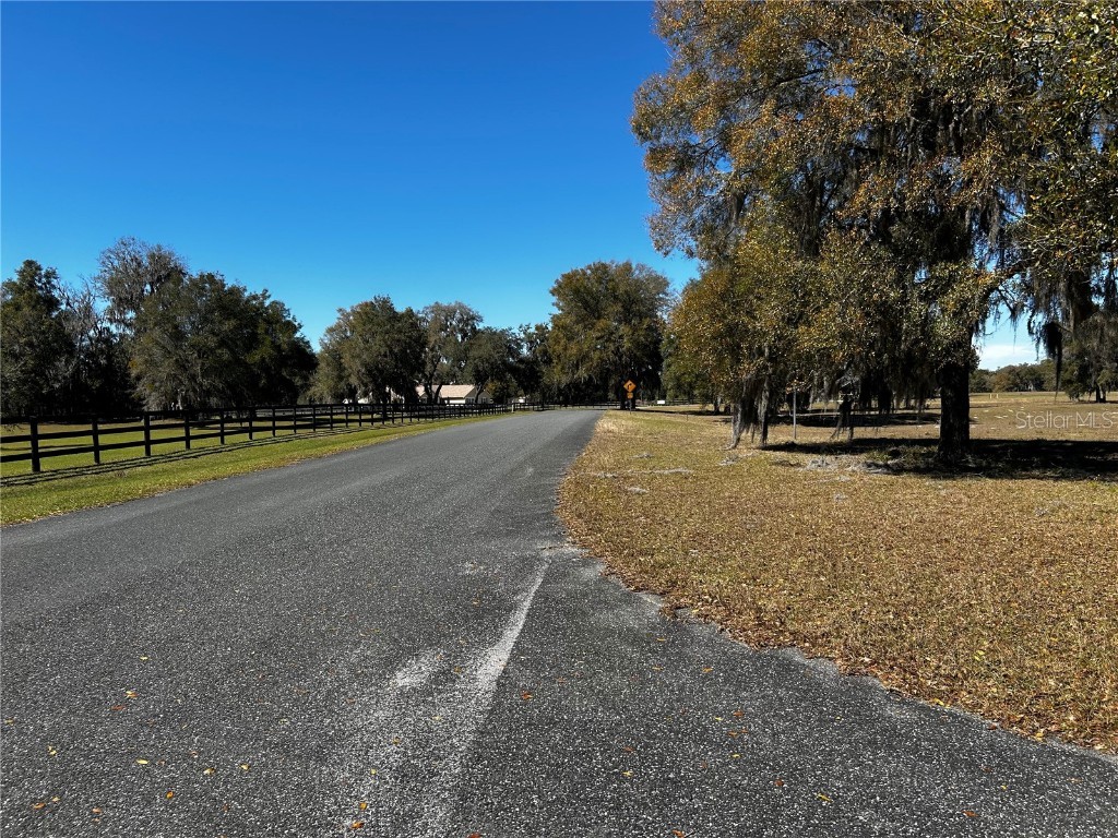 0000 NW 464b Morriston FL 32668 OM673020 image8