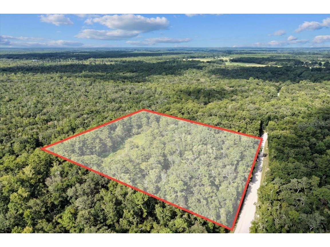 0000 NW 73rd Way #LOT 16 Bell FL 32619 GC532871 image1
