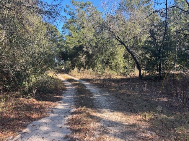 0000 NW 9th Place Ocala FL 34482 OM716702 image2