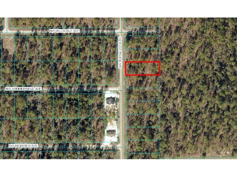 0000 NW Buena Vista Road #003 Dunnellon FL 34431 OM685291 image1