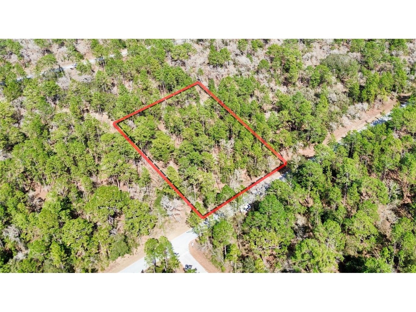 0000 NW Falcon Avenue Dunnellon FL 34431 OM695263 image1