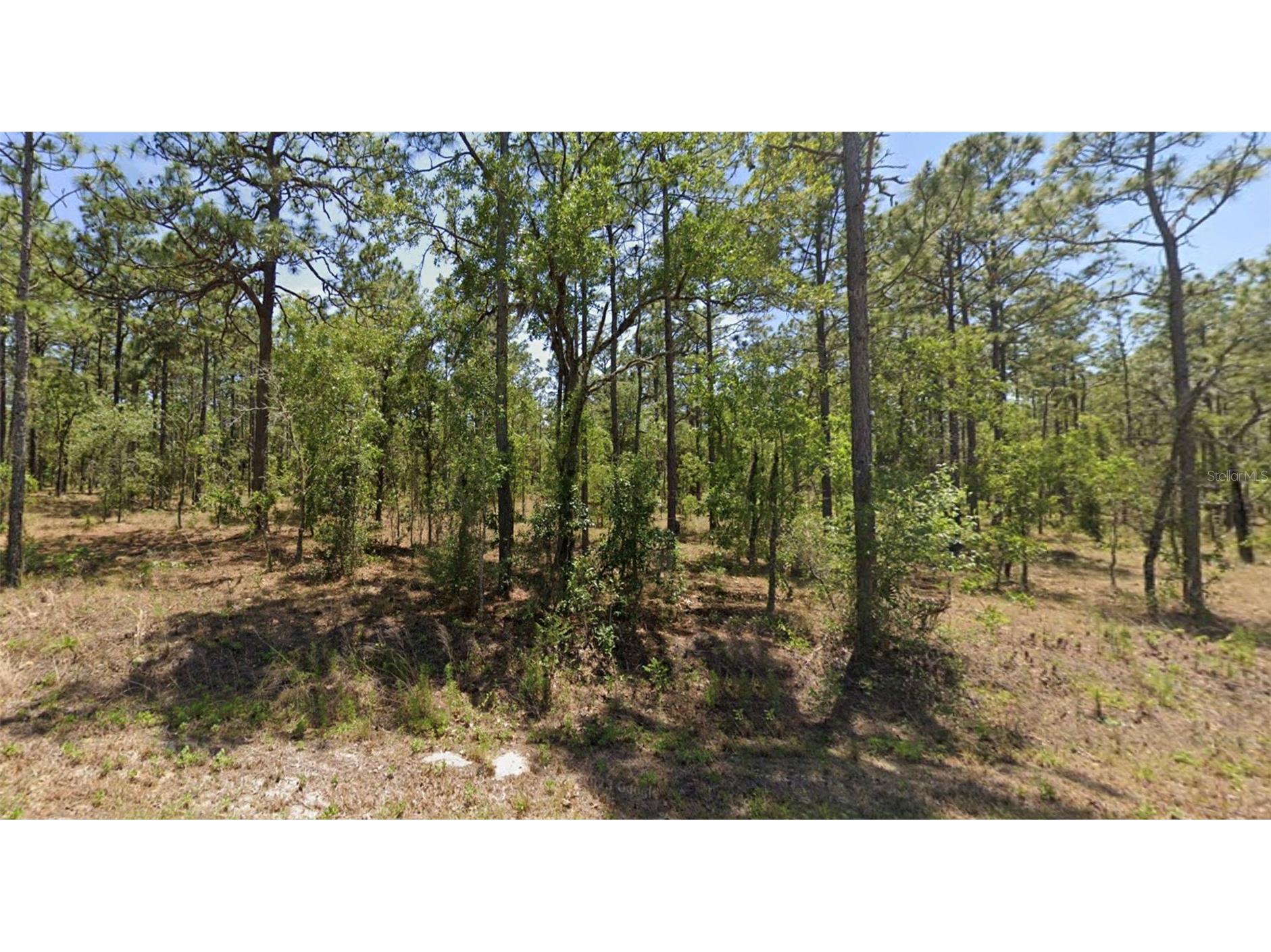 0000 NW Geranium Avenue Dunnellon FL 34431 TB8499271 image1