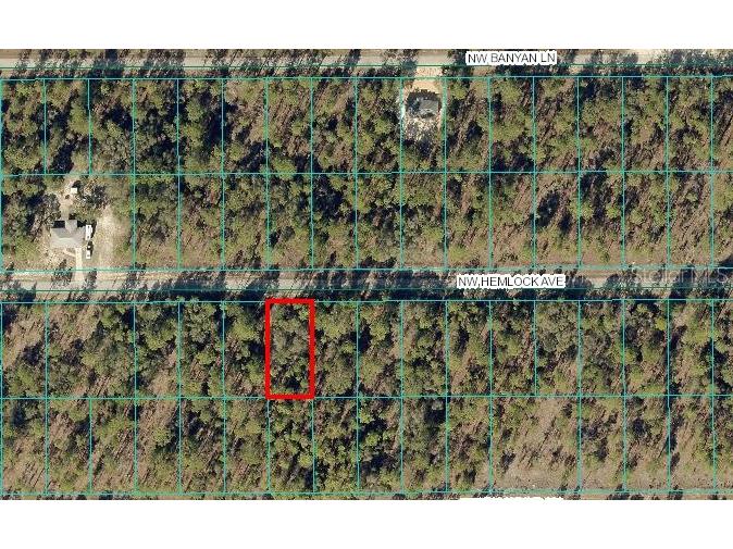 0000 NW Hemlock Avenue #010 Dunnellon FL 34431 OM685089 image1