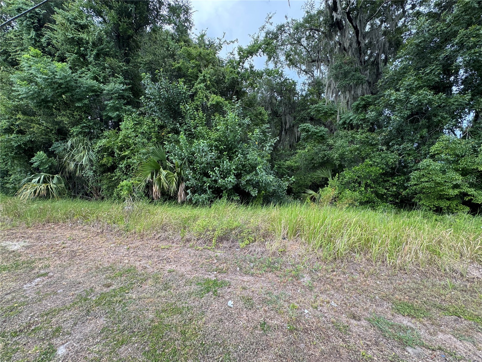 0000 NW Martin Luther King Avenue Ocala FL 34471 G5114553 image4