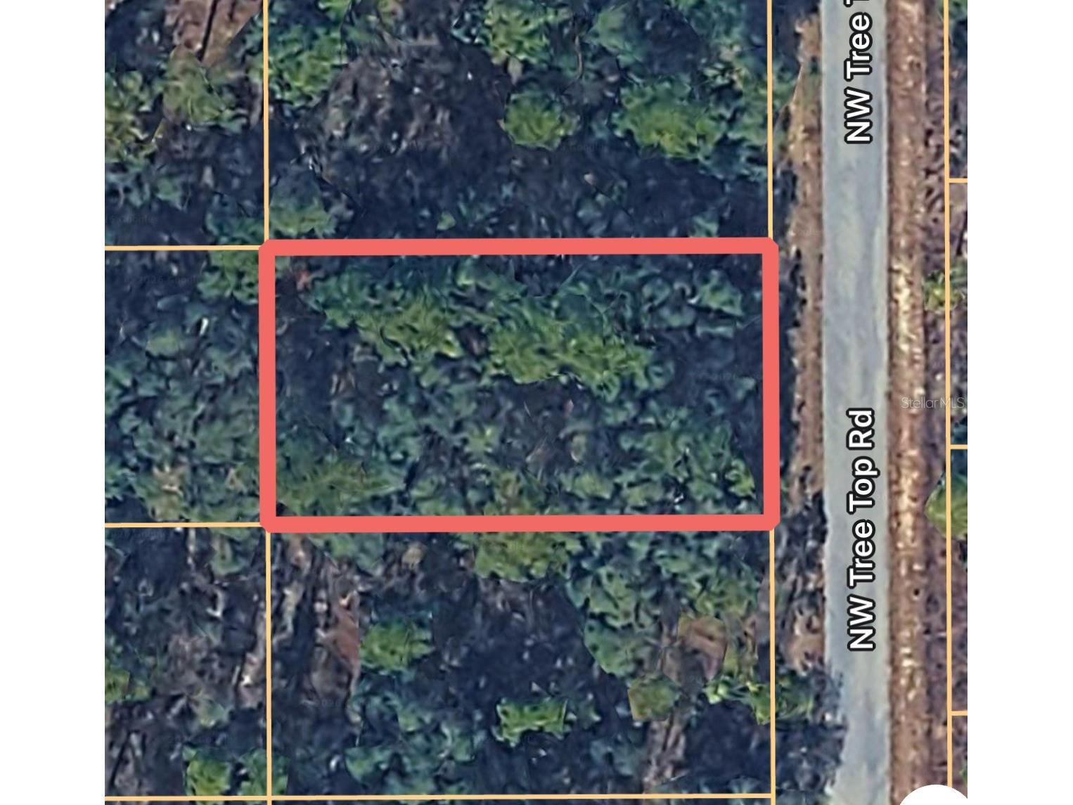 0000 NW Treetop Road #007 Dunnellon FL 34431 OM717030 image1