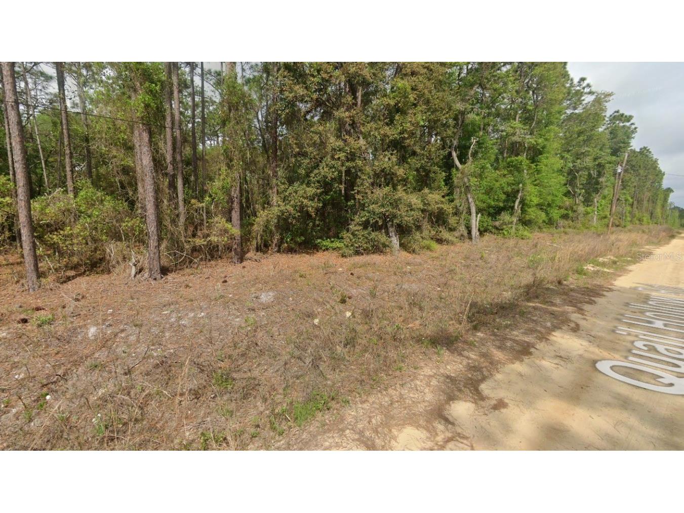 0000 Quail Hollow Road Satsuma FL 32189 V4942300 image1