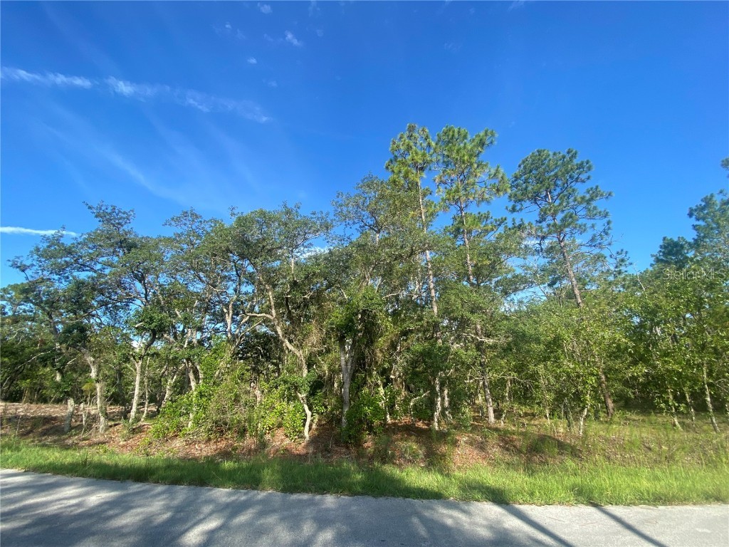 0000 Redwood Drive Dunnellon FL 34431 OM642314 image1