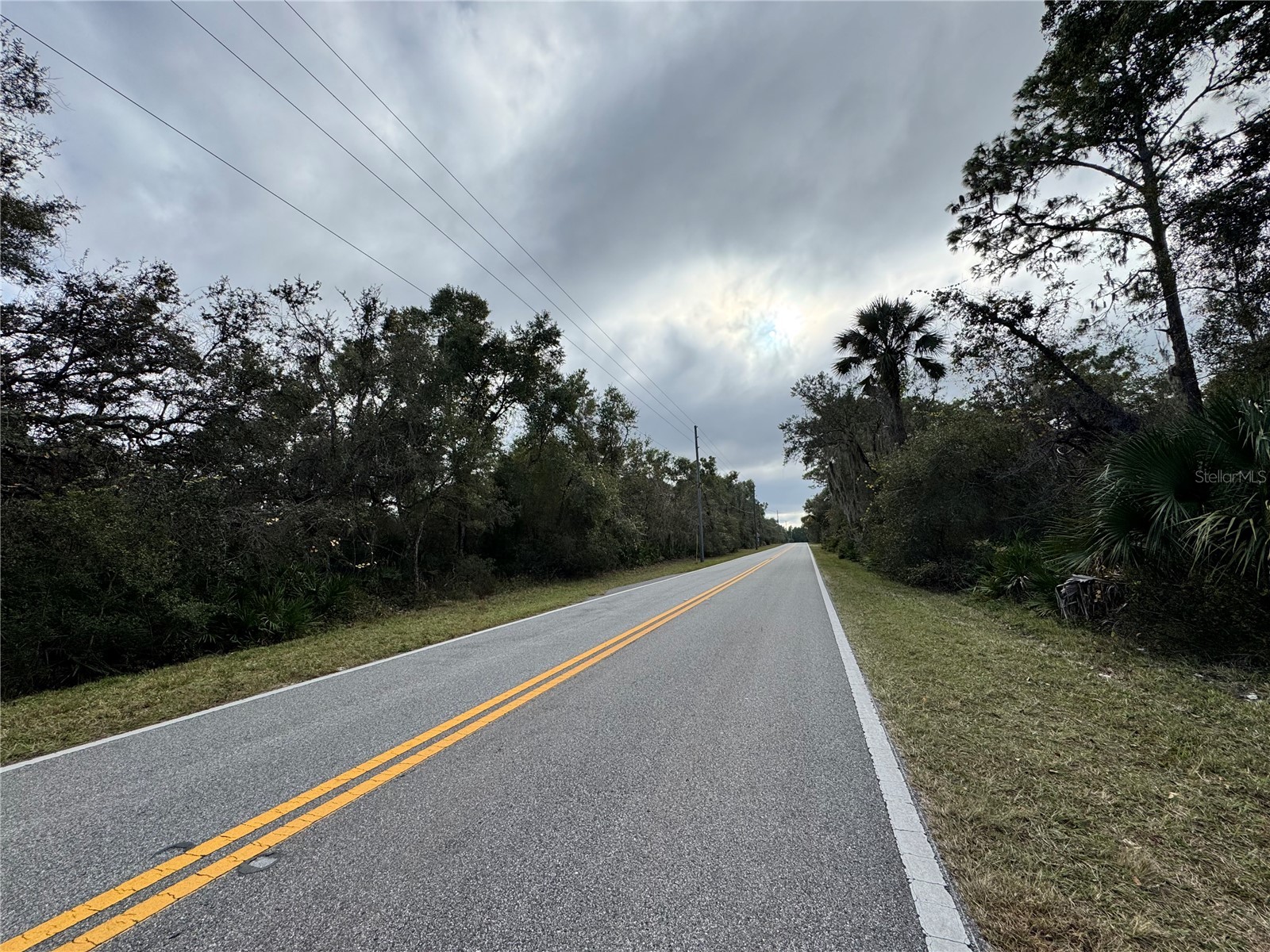 Reynolds Lot 0420 Road #LOT 0420 De Leon Springs FL 32130 G5105411 image2