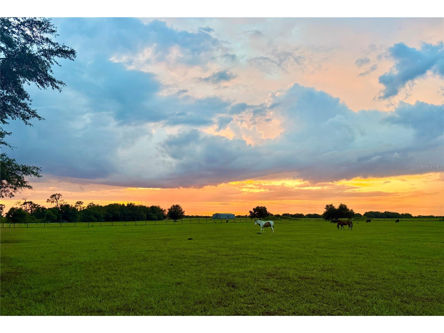 0000 Roberts Road Ona FL 33865 A4697667 image1