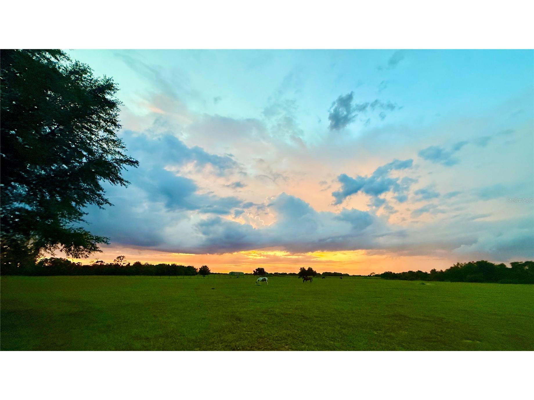 0000 Roberts Road Ona FL 33865 A4697667 image18