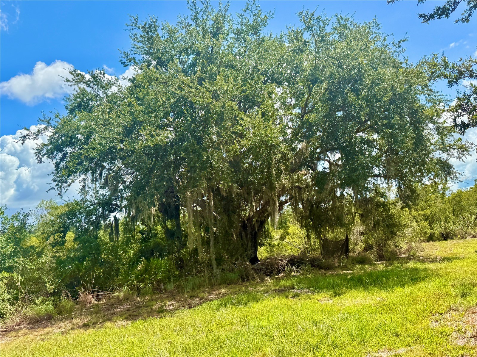 0000 Roberts Road Ona FL 33865 A4697667 image39