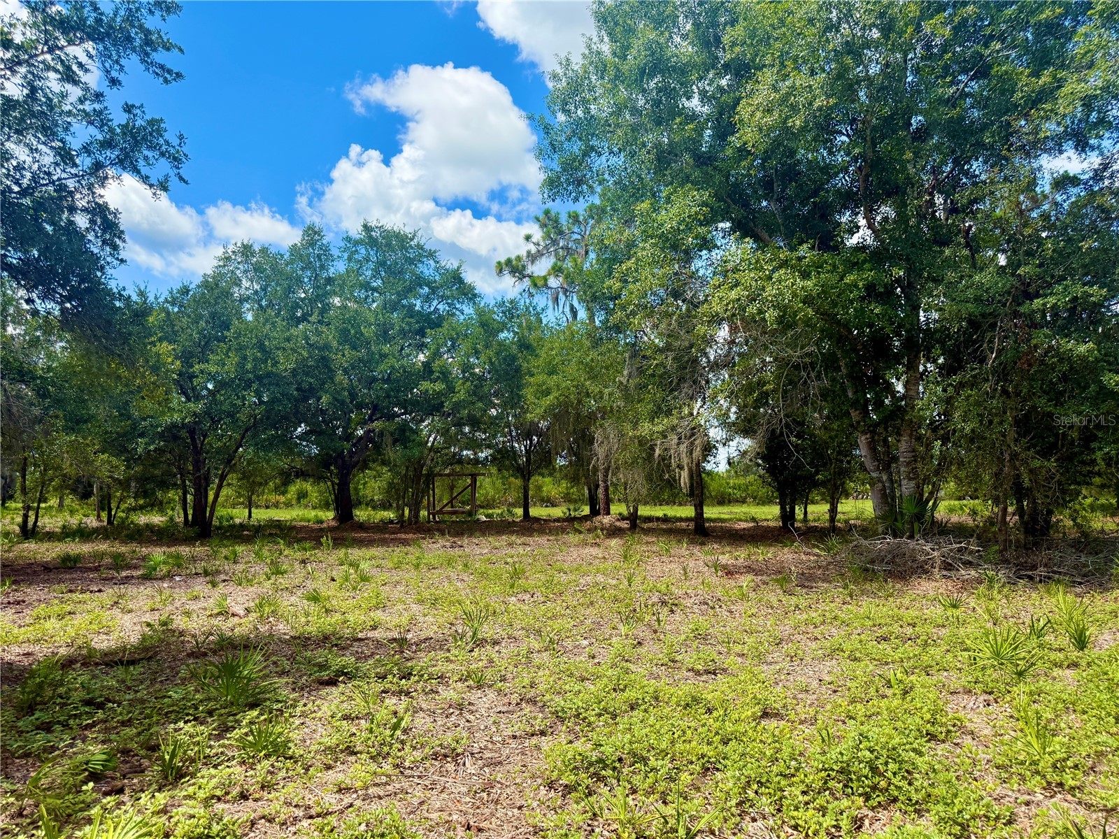 0000 Roberts Road Ona FL 33865 A4697667 image40