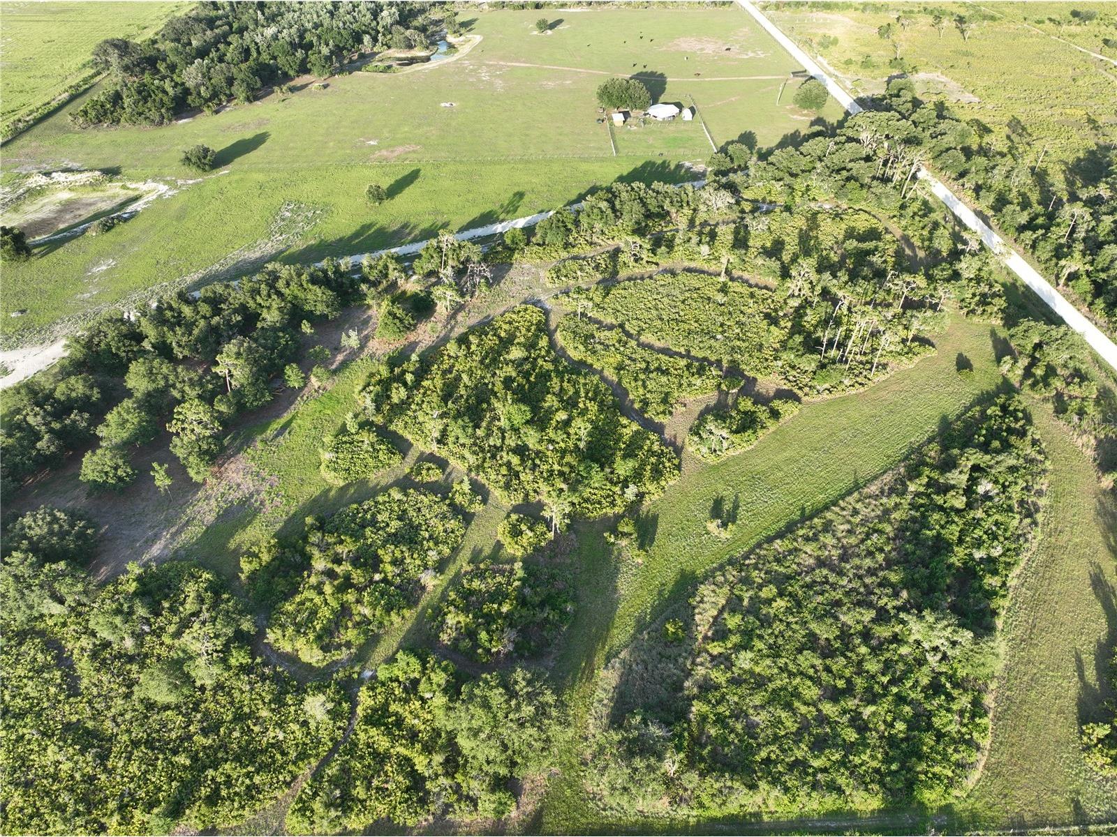 0000 Roberts Road Ona FL 33865 A4697667 image6