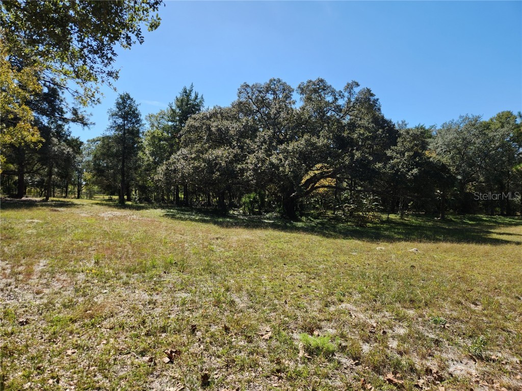 0000 Roos Lane Deland FL 32724 FC313629 image1