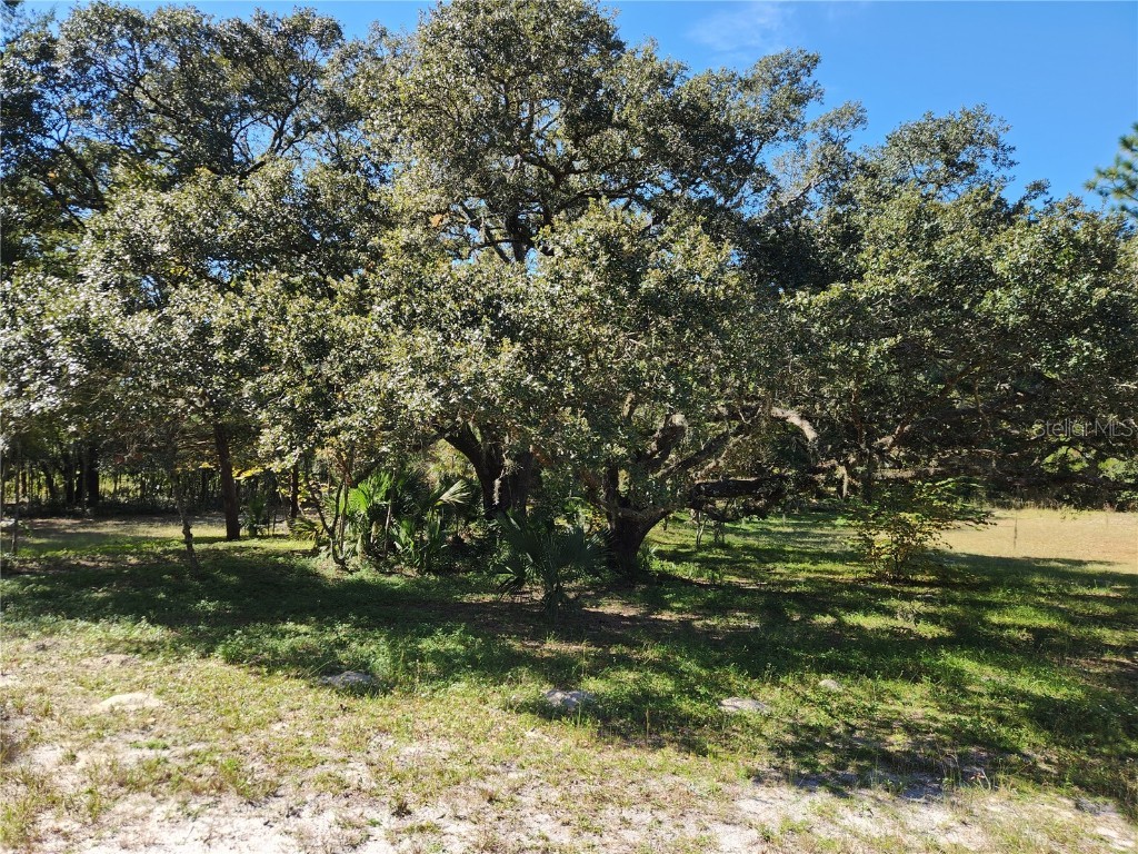 0000 Roos Lane Deland FL 32724 FC313629 image10