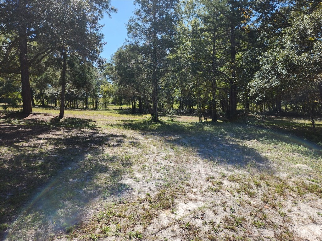 0000 Roos Lane Deland FL 32724 FC313629 image11