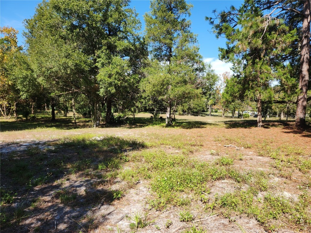 0000 Roos Lane Deland FL 32724 FC313629 image12