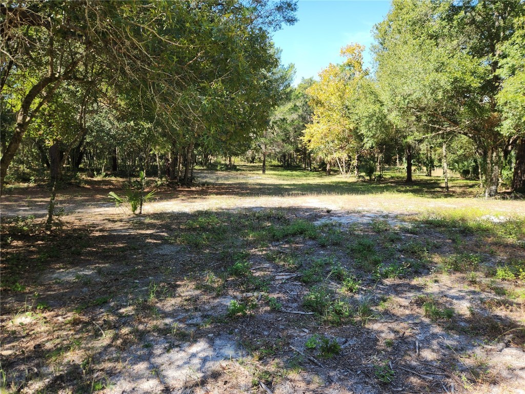 0000 Roos Lane Deland FL 32724 FC313629 image13