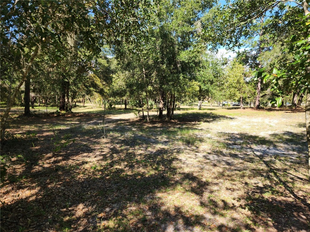0000 Roos Lane Deland FL 32724 FC313629 image14