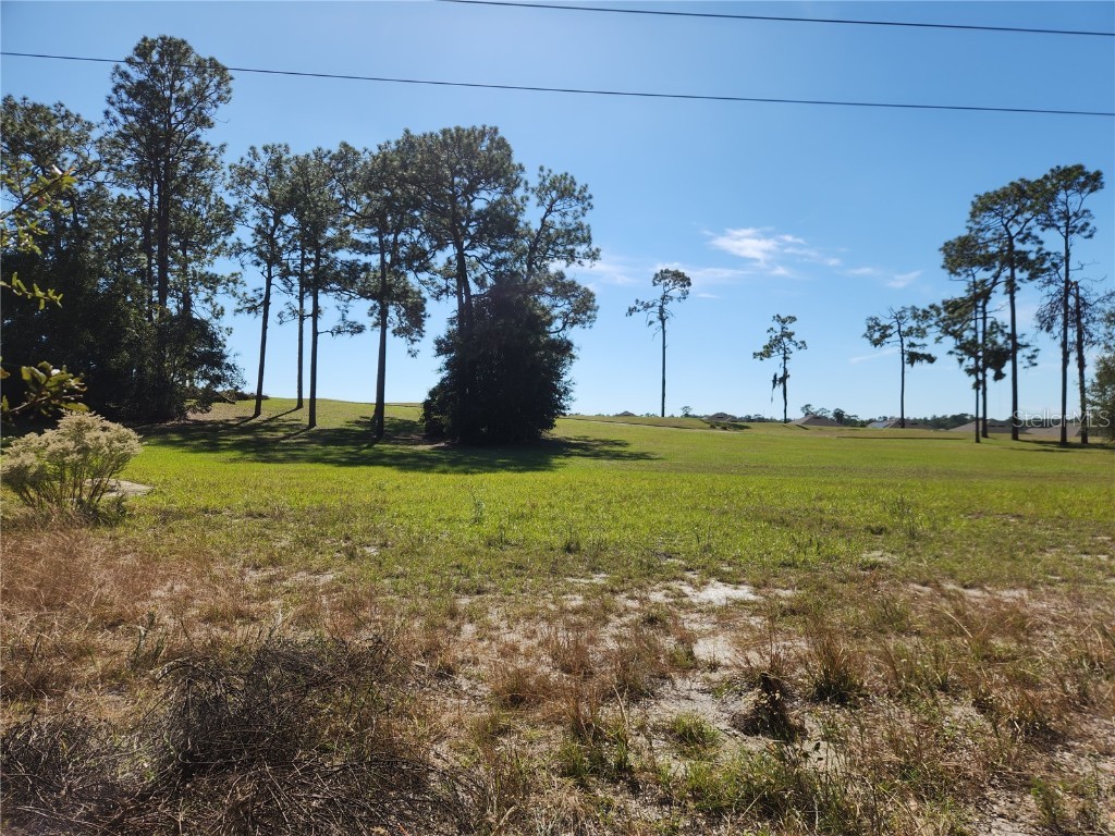 0000 Roos Lane Deland FL 32724 FC313629 image17