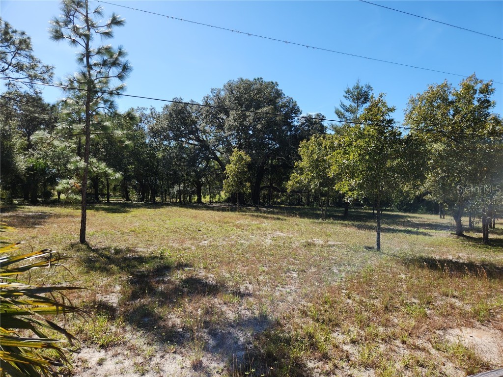 0000 Roos Lane Deland FL 32724 FC313629 image3
