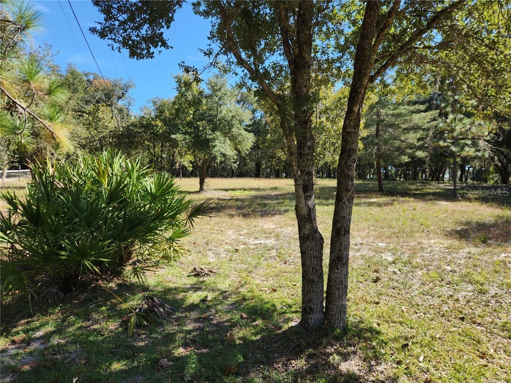 0000 Roos Lane Deland FL 32724 FC313629 image7