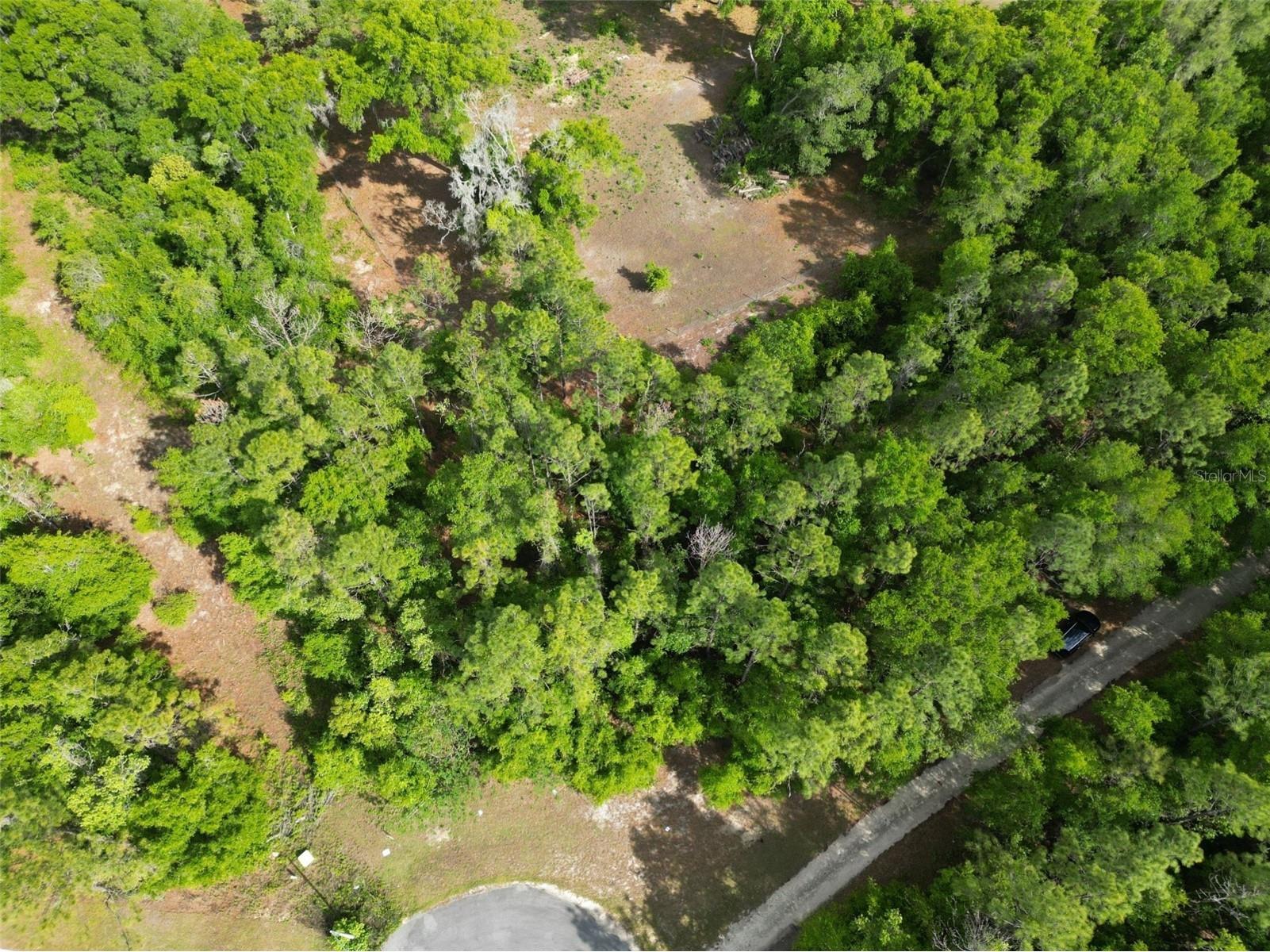 0000 SE 119 Street Belleview FL 34420 G5110507 image10