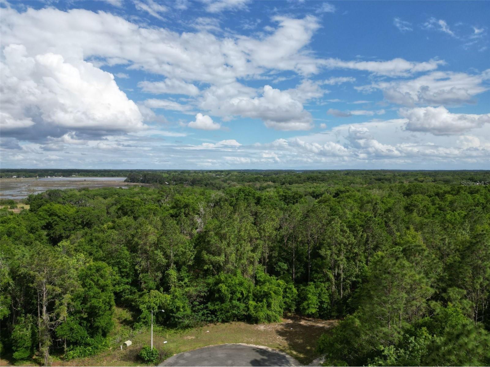 0000 SE 119 Street Belleview FL 34420 G5110507 image2