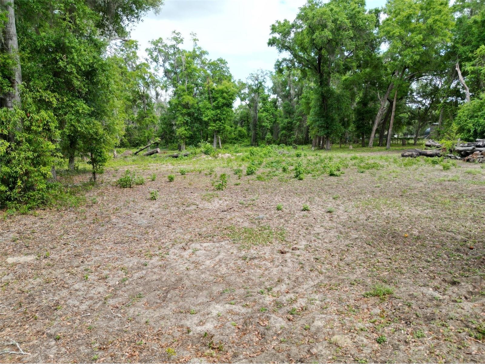 0000 SE 119 Street Belleview FL 34420 G5110507 image4