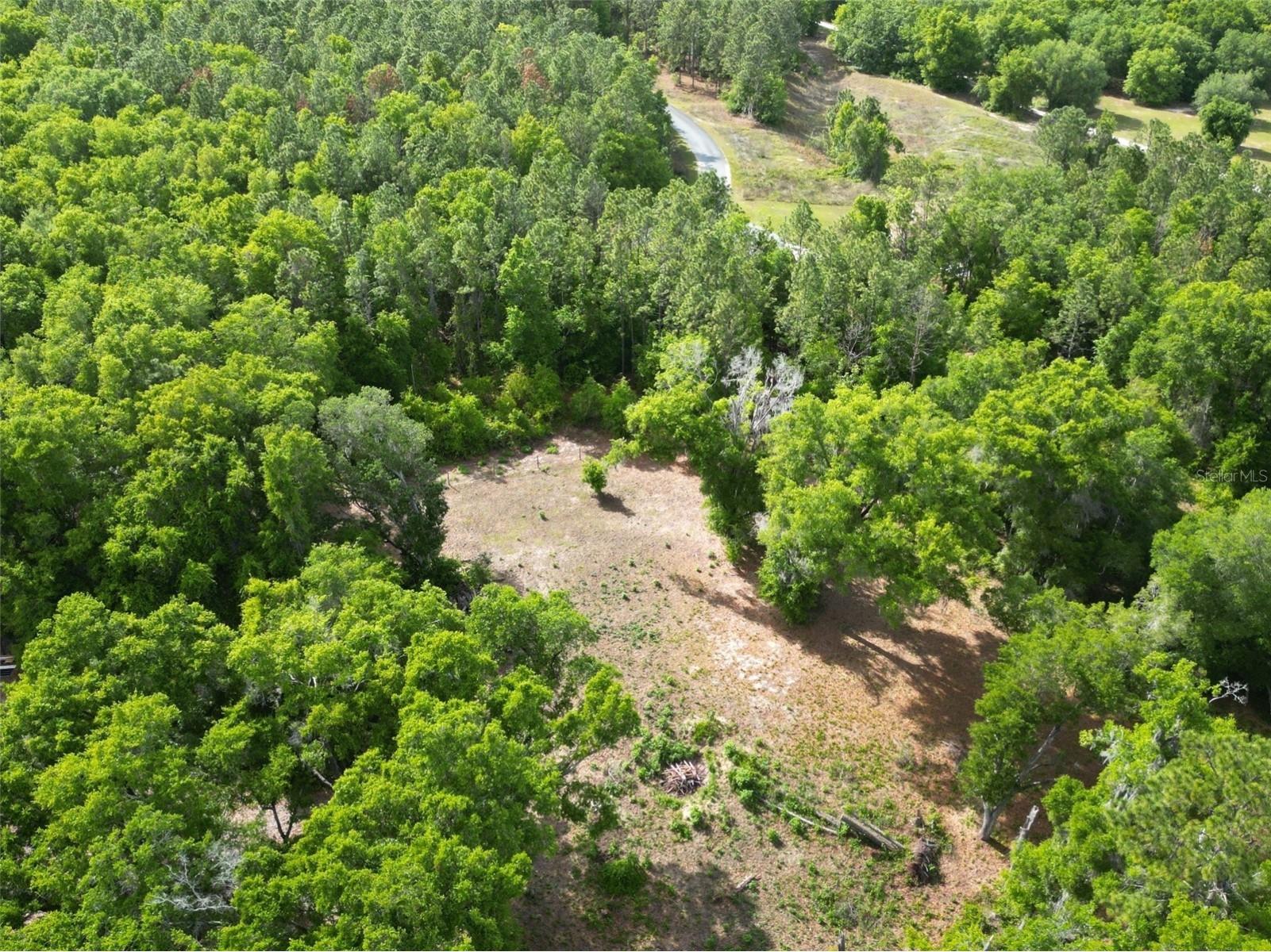 0000 SE 119 Street Belleview FL 34420 G5110507 image5