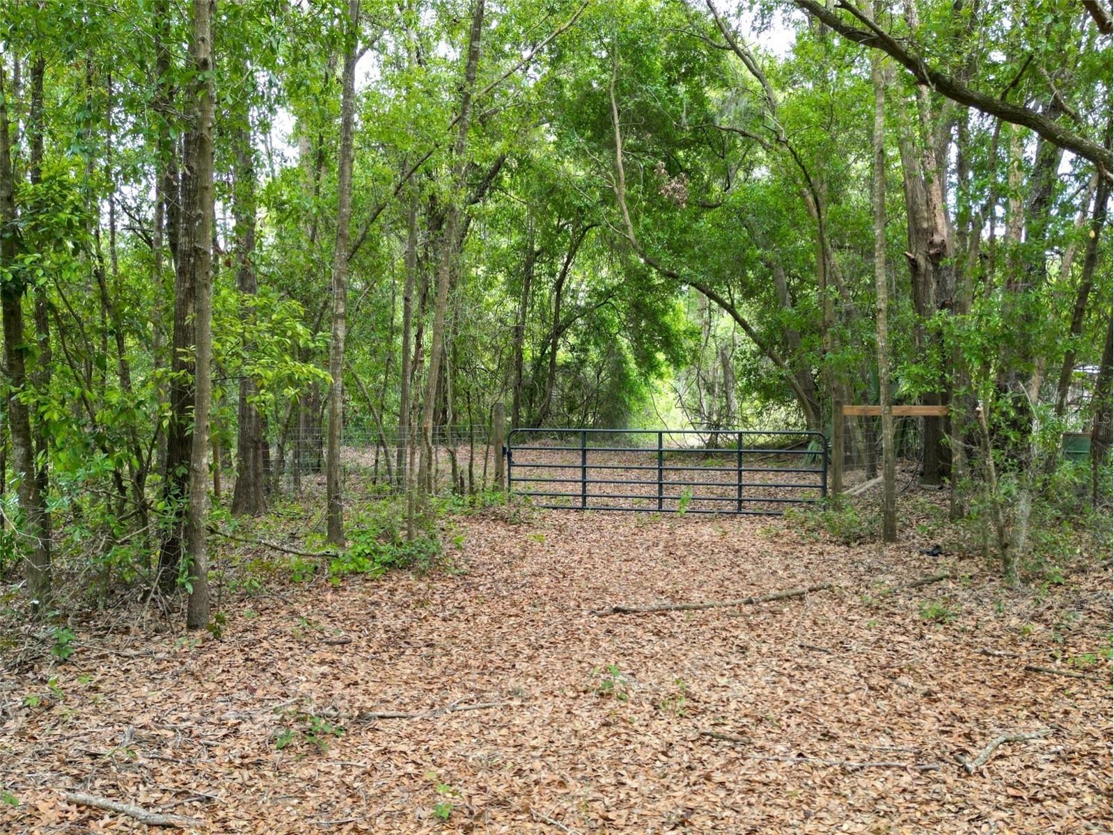 0000 SE 119 Street Belleview FL 34420 G5110507 image6