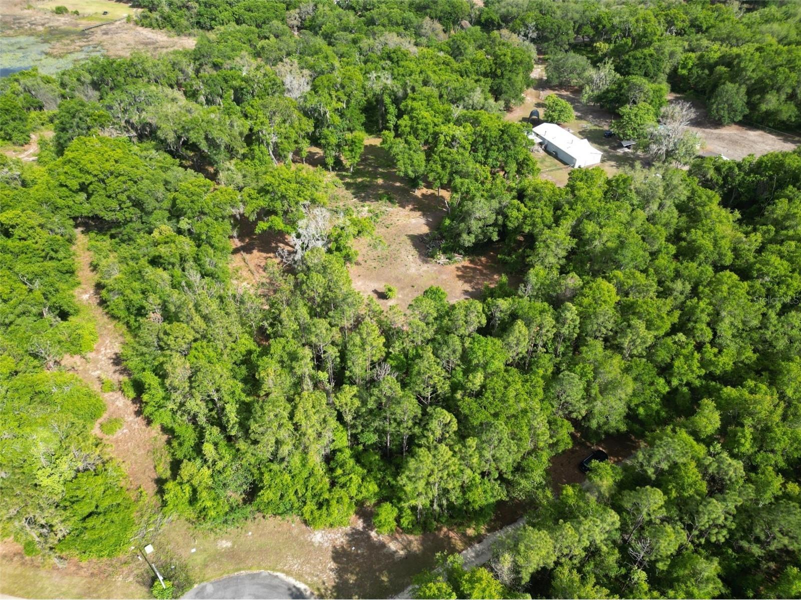 0000 SE 119 Street Belleview FL 34420 G5110507 image7