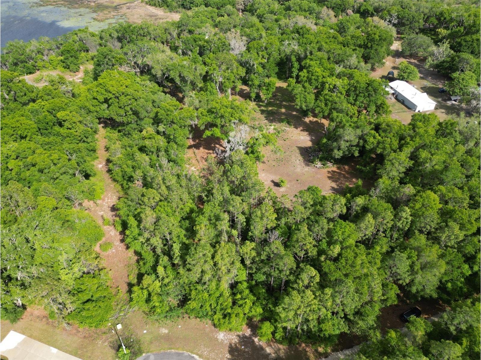 0000 SE 119 Street Belleview FL 34420 G5110507 image8