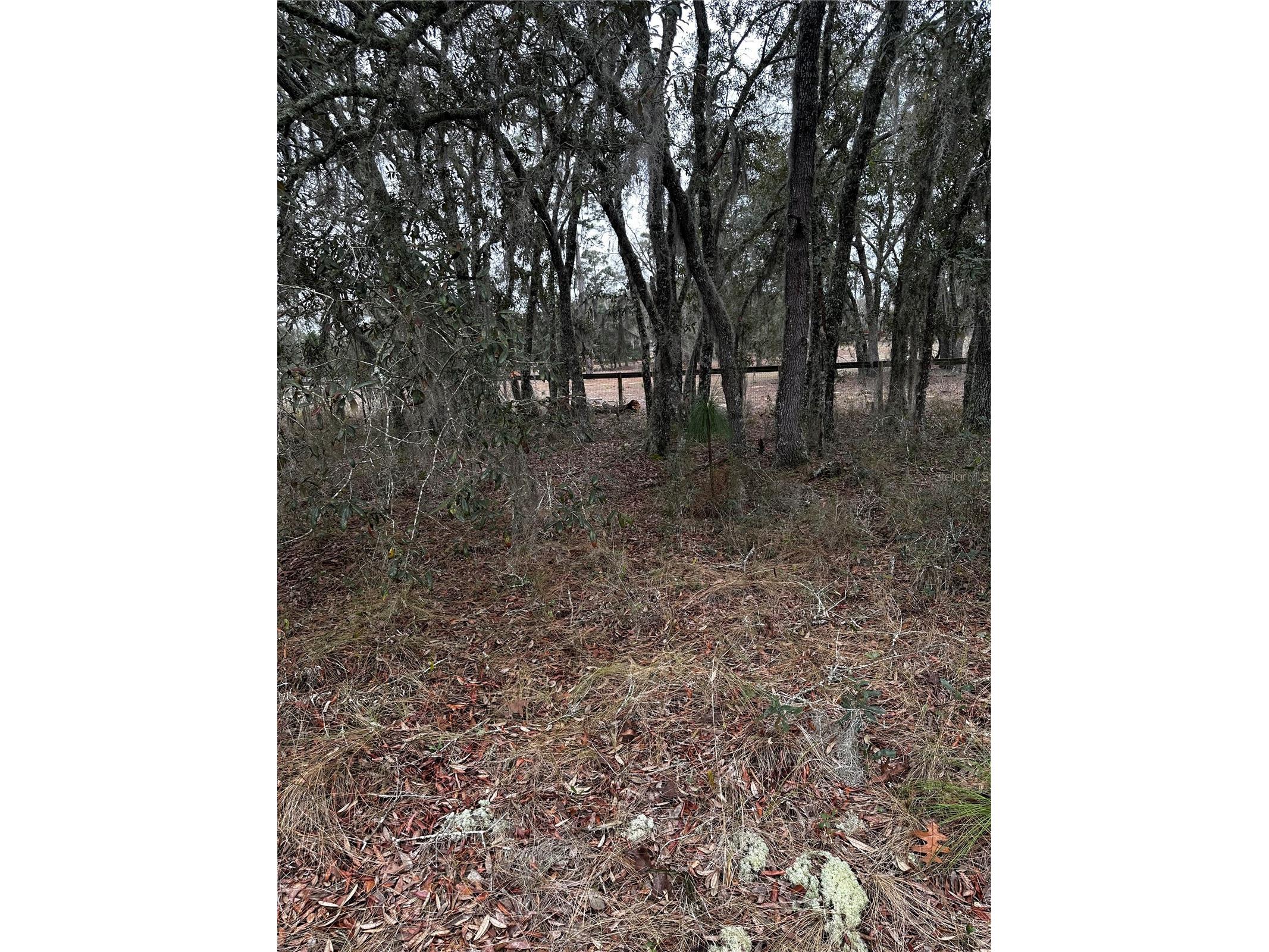 0000 SE 123 Rd Terrace Morriston FL 32668 OM719781 image10