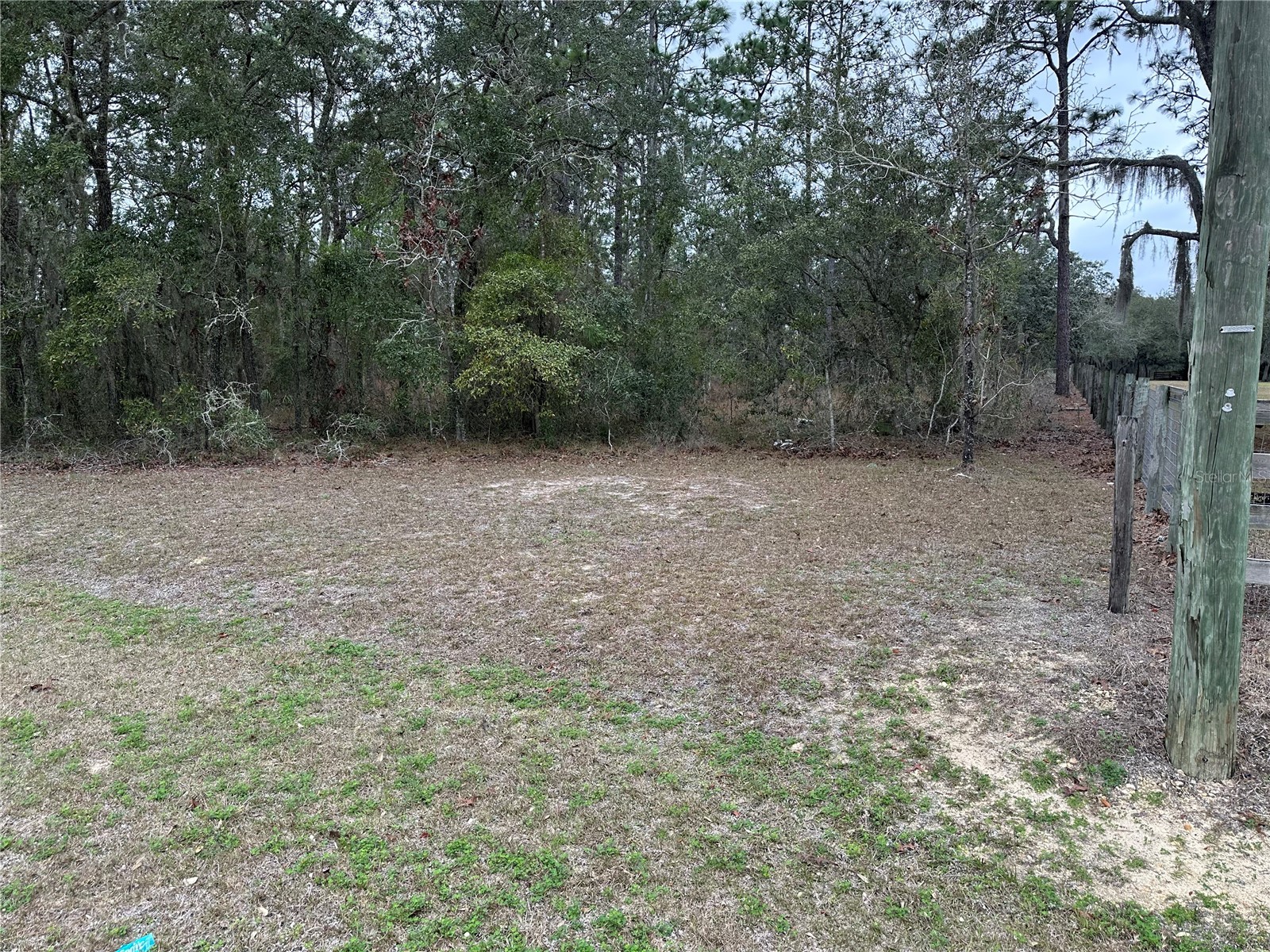 0000 SE 123 Rd Terrace Morriston FL 32668 OM719781 image2