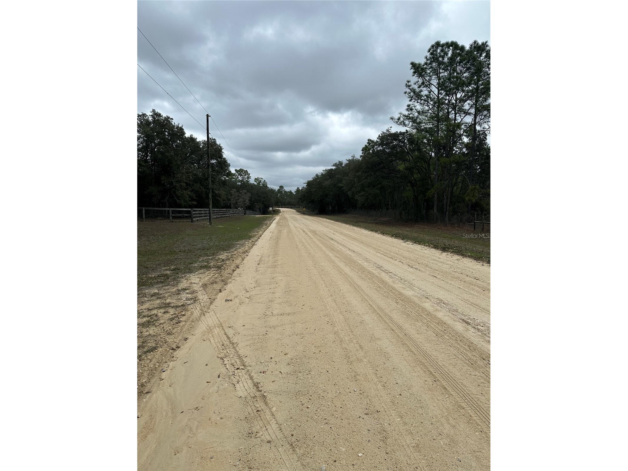 0000 SE 123 Rd Terrace Morriston FL 32668 OM719781 image3
