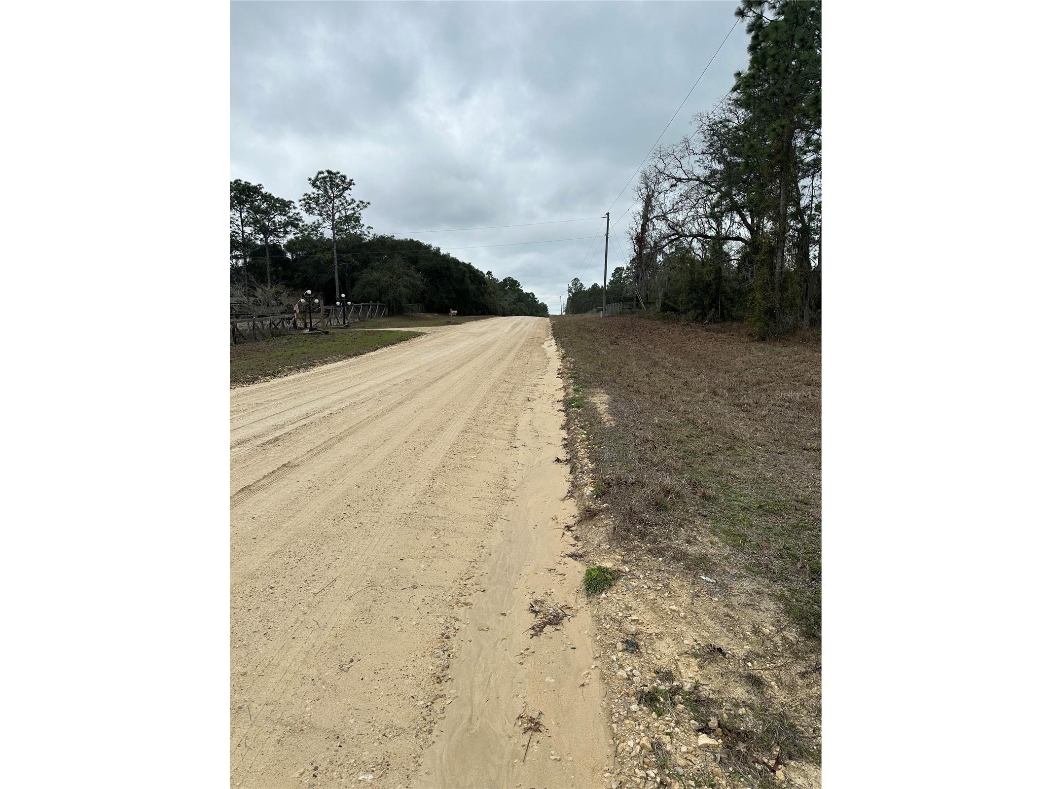 0000 SE 123 Rd Terrace Morriston FL 32668 OM719781 image4