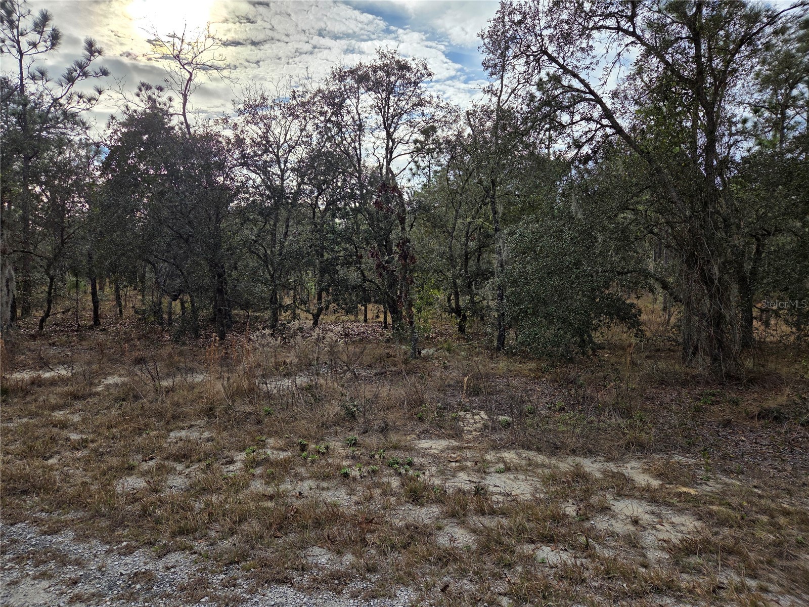 0000 SE 128th Avenue Dunnellon FL 34431 OM718051 image4