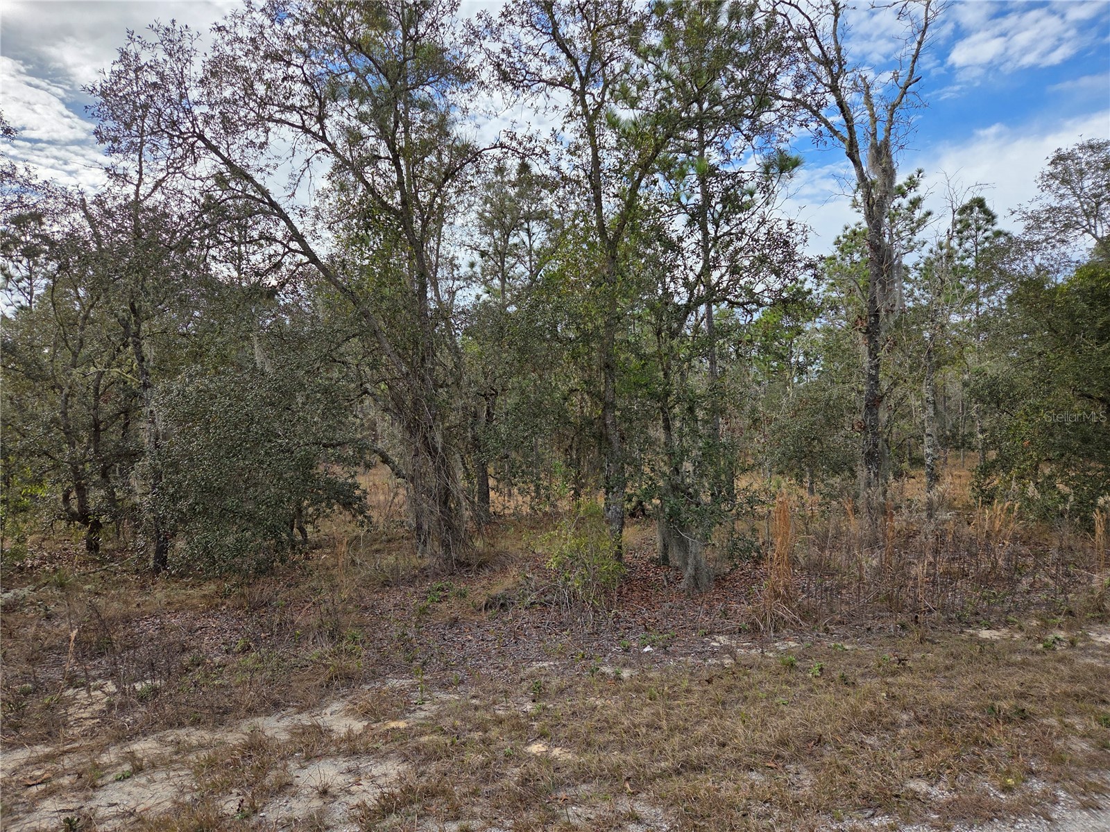 0000 SE 128th Avenue Dunnellon FL 34431 OM718051 image5