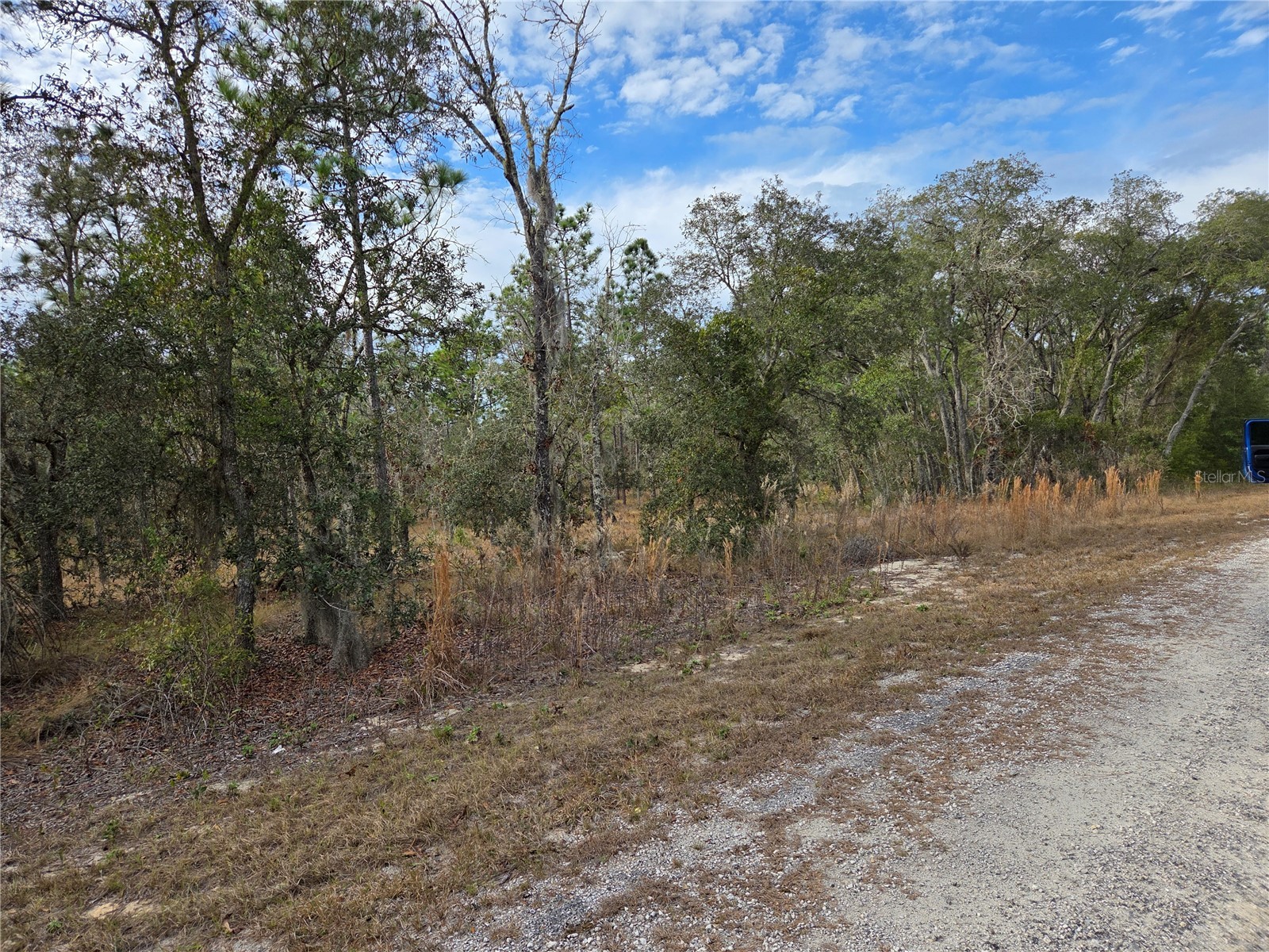 0000 SE 128th Avenue Dunnellon FL 34431 OM718051 image6