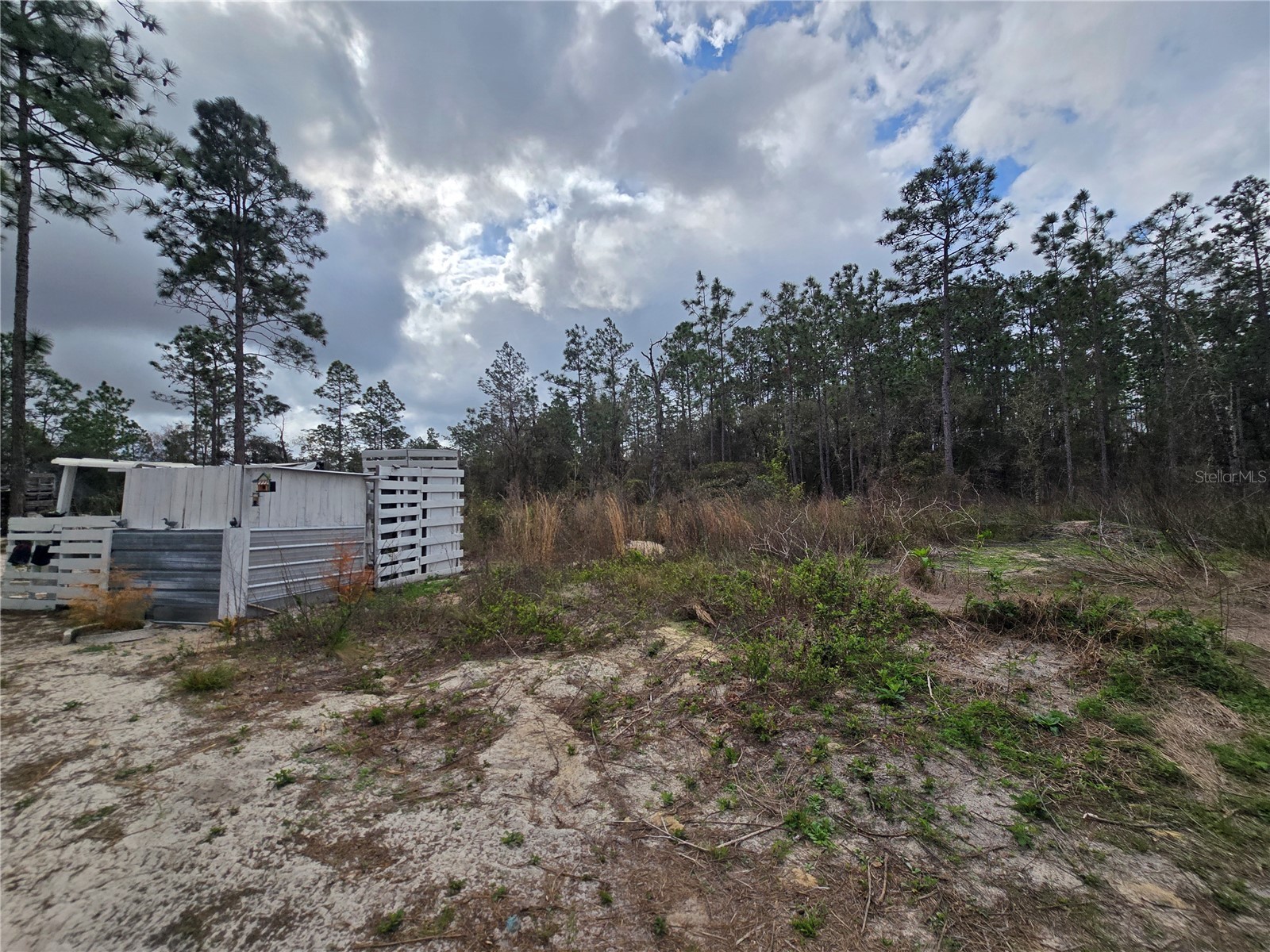 0000 SE 128th Avenue Dunnellon FL 34431 OM720503 image10