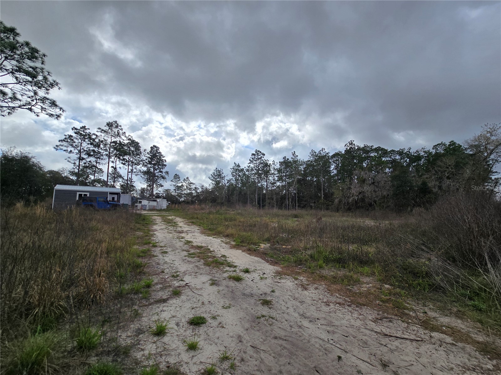 0000 SE 128th Avenue Dunnellon FL 34431 OM720503 image3