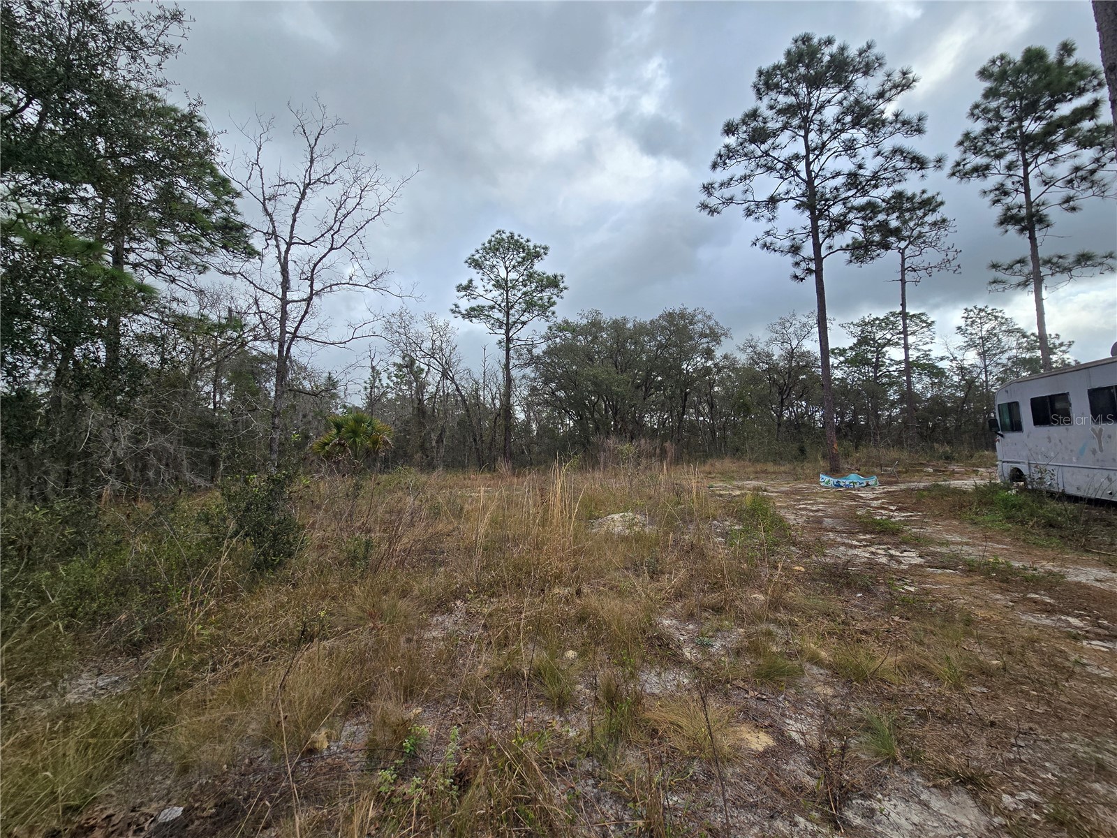 0000 SE 128th Avenue Dunnellon FL 34431 OM720503 image5