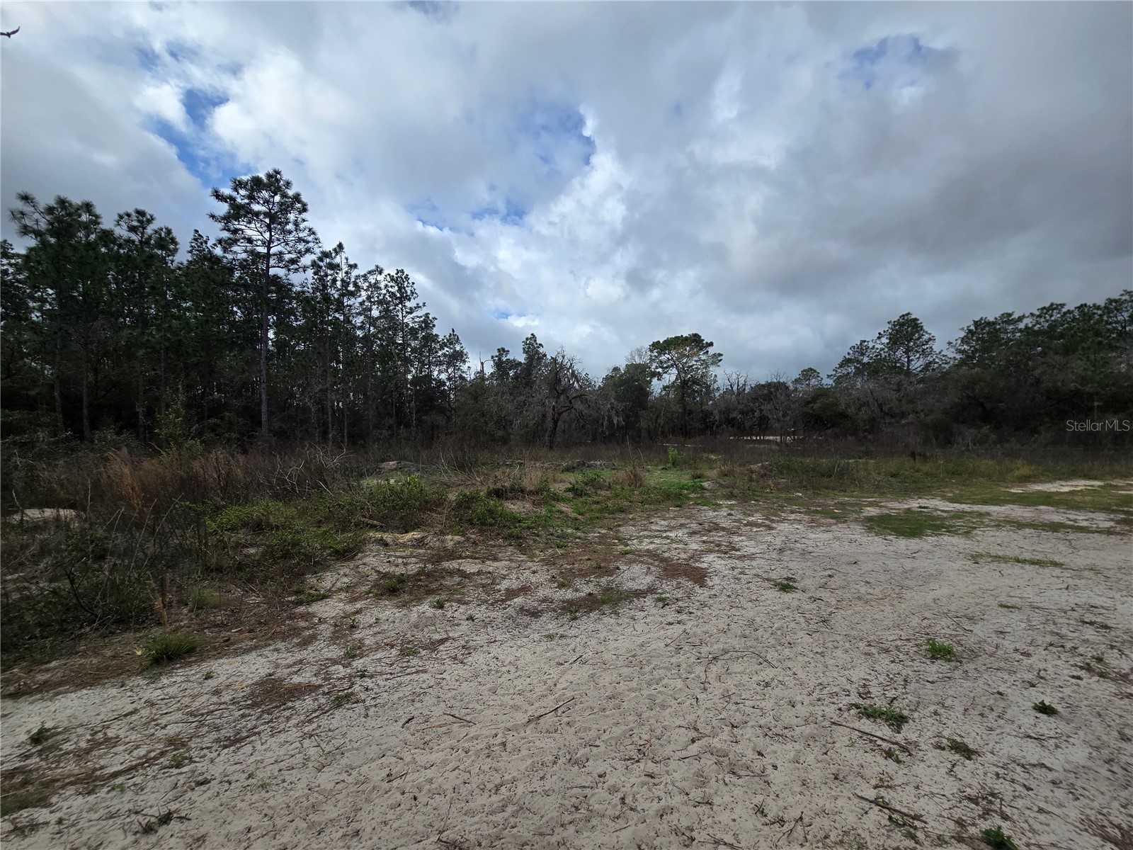 0000 SE 128th Avenue Dunnellon FL 34431 OM720503 image6