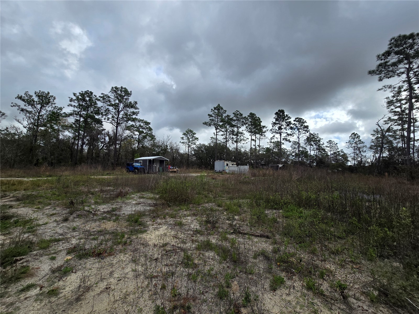 0000 SE 128th Avenue Dunnellon FL 34431 OM720503 image7
