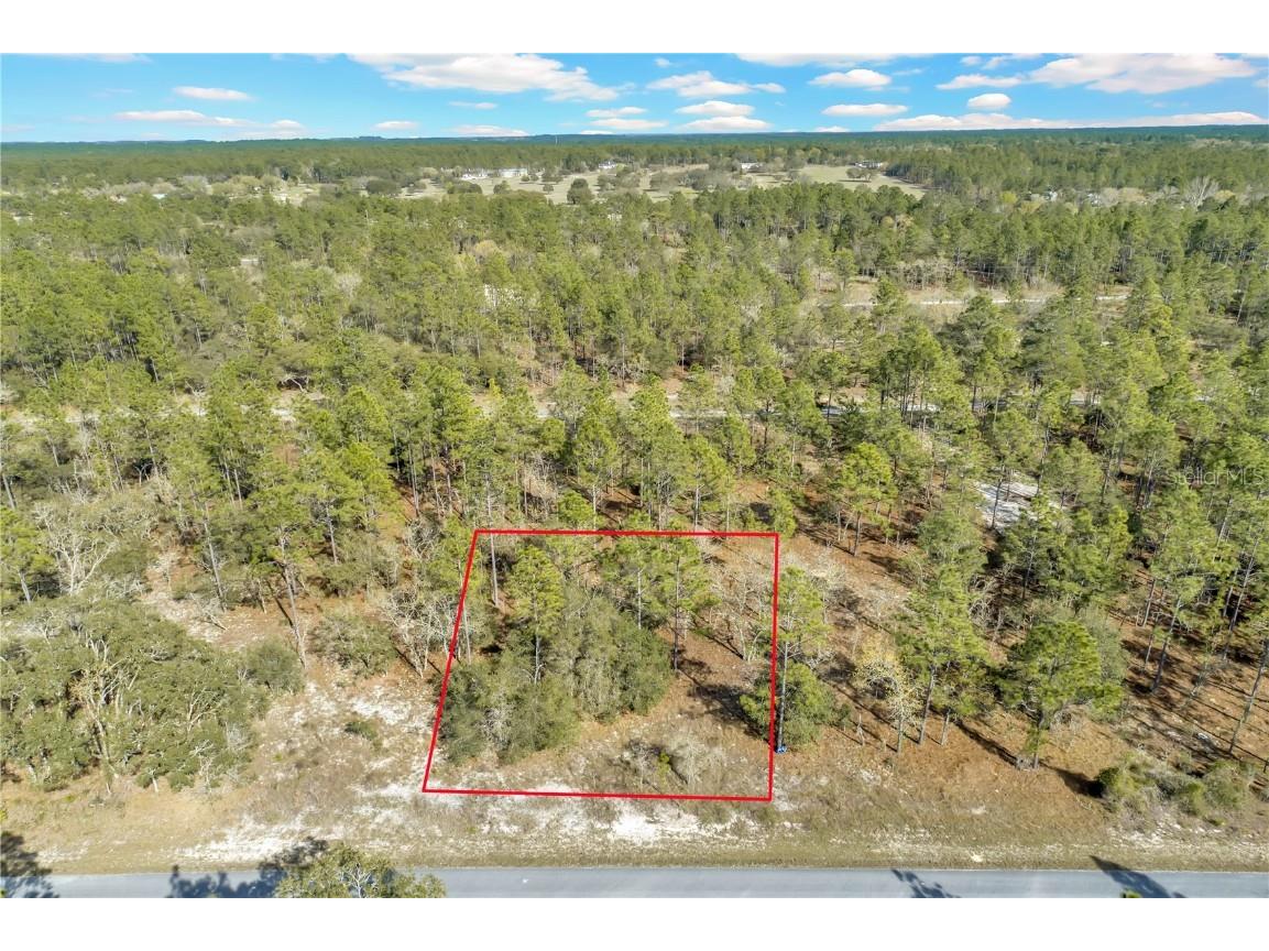 0000 SE 134 Terrace Dunnellon FL 34431 OM674498 image1