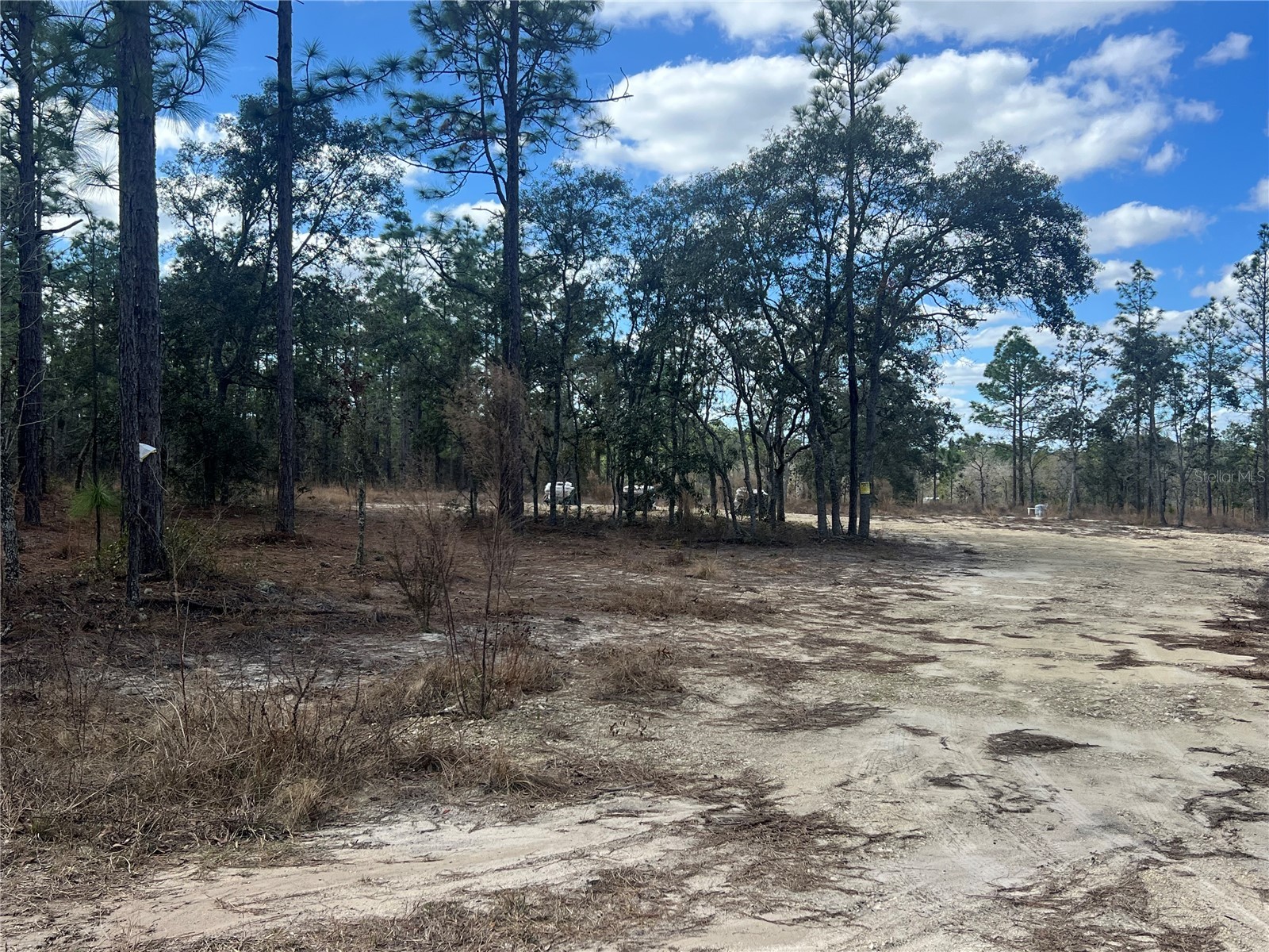 0000 SE 135th Court SE Dunnellon FL 34431 W7883138 image10