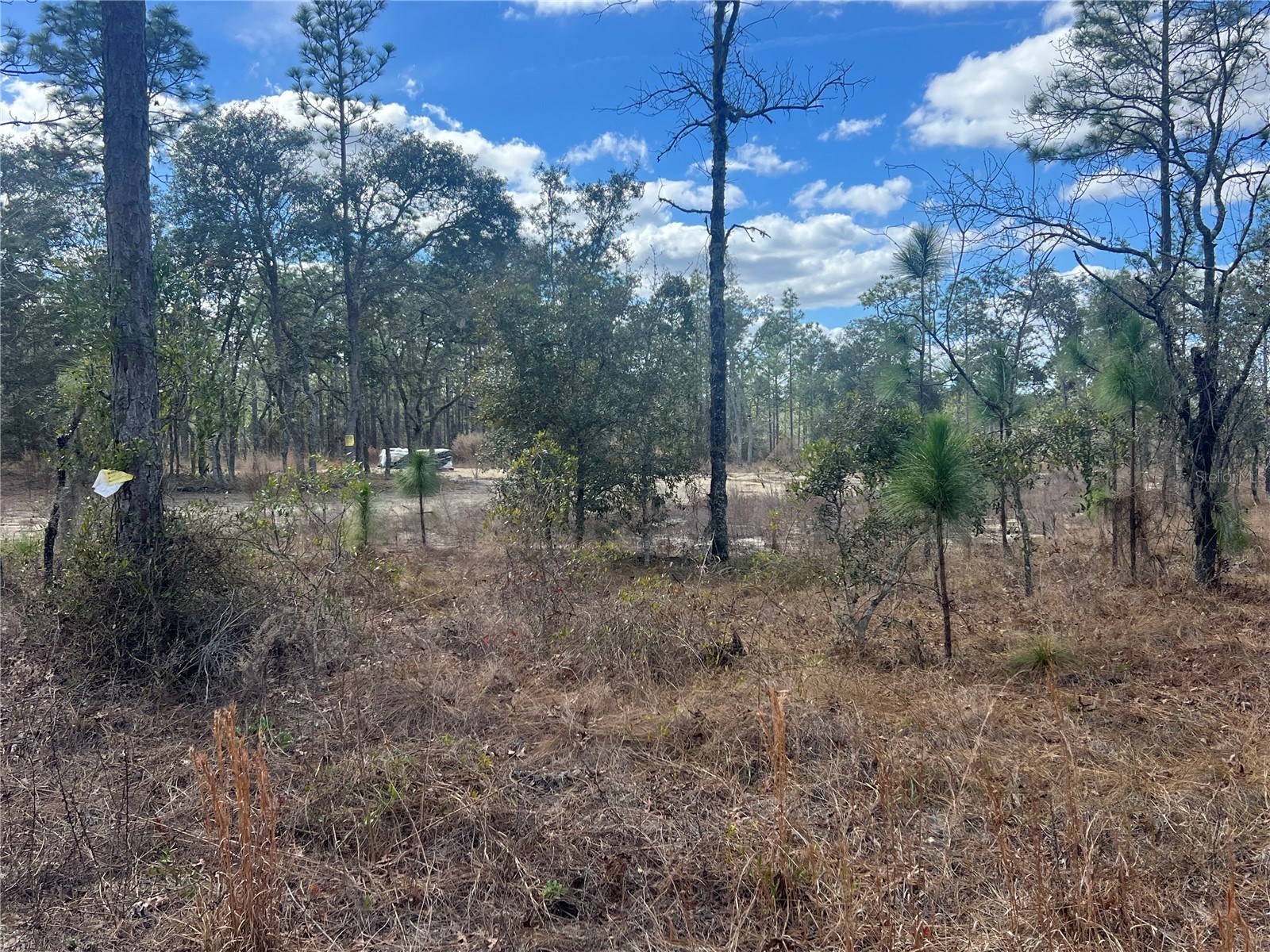 0000 SE 135th Court SE Dunnellon FL 34431 W7883138 image12